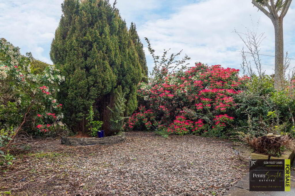 Photo 4 of 8 Meadowvale Close, Bangor