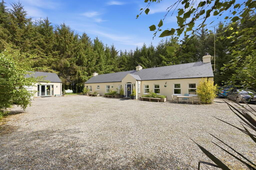 49 Crawfordstown Road, Drumaness, Ballynahinch, BT24 8LZ