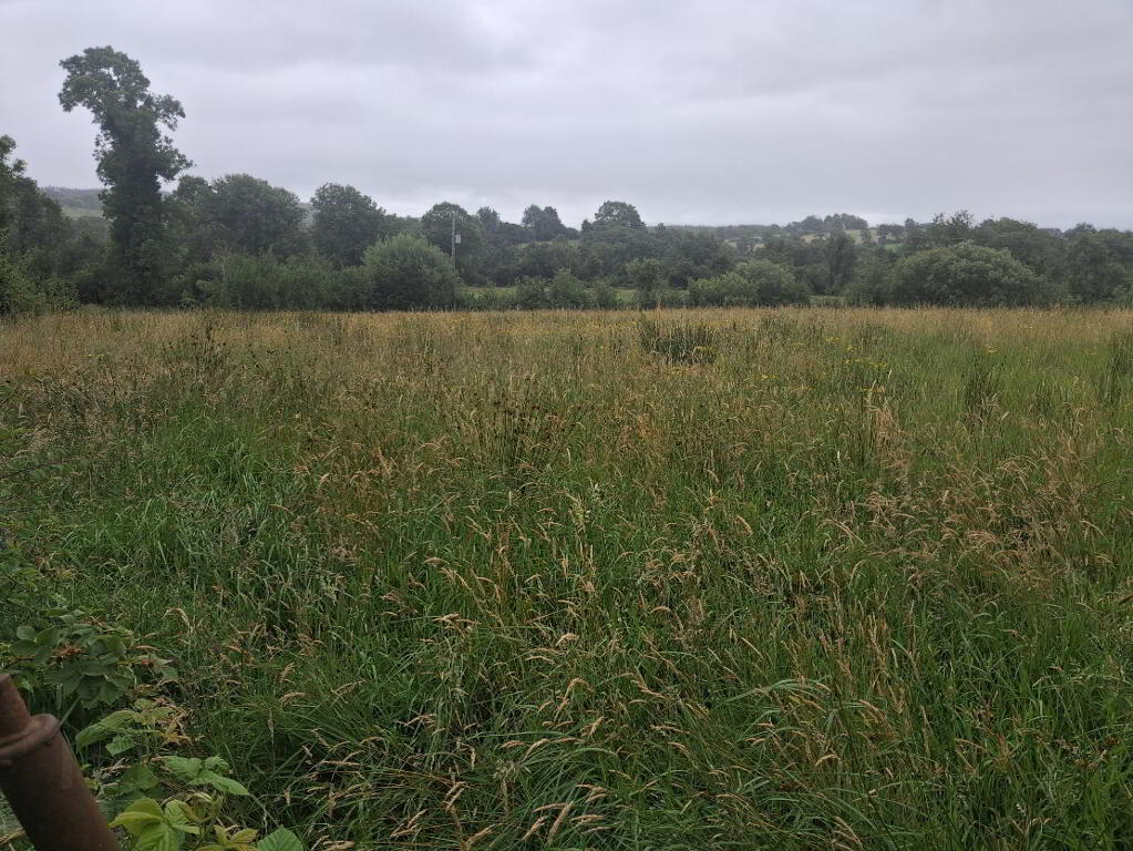 Photo 1 of Stranafeley Road, Brookeborough