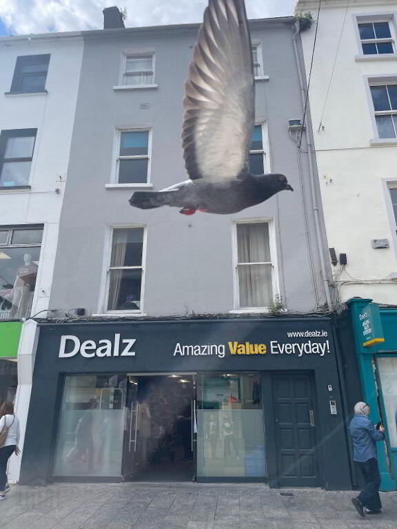 Apartment 2 6 Michael Street, Waterford City Centre, Waterford City Centre, X91EA06