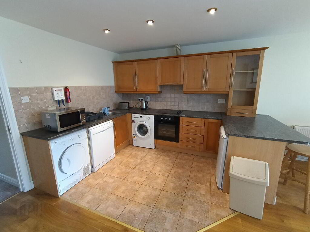 Dooradoyle Park, Dooradoyle, V94E542
