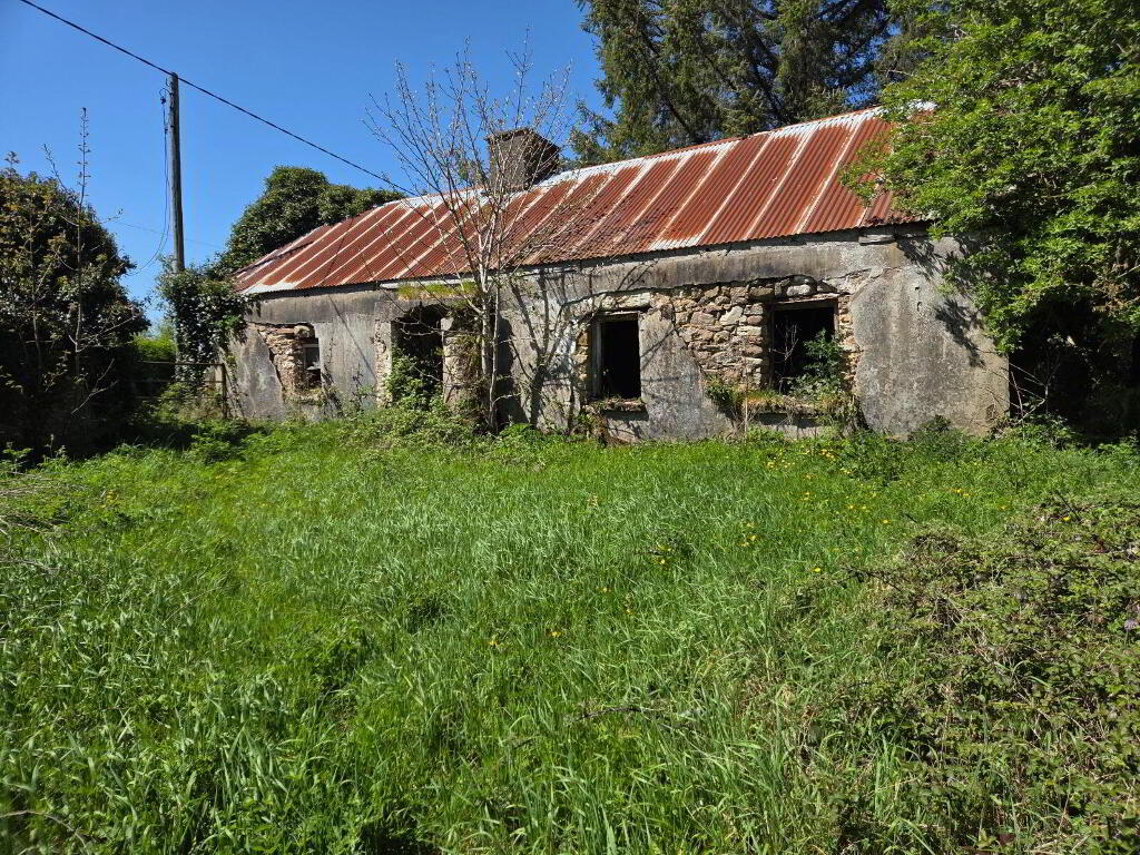 Clogheenafishoge, Ballylooby