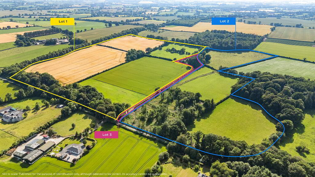 Whole: Lands & Cottage, Lisnavagh, Rathvilly, R93K162