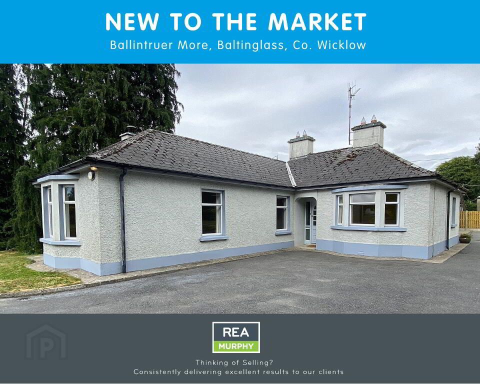 Ballintruer More, Baltinglass, W91Y135