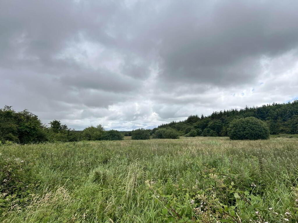 Approx, 4.77 Ha (11, 8 Acres), Ballincurry, Castlerea, F45RF98