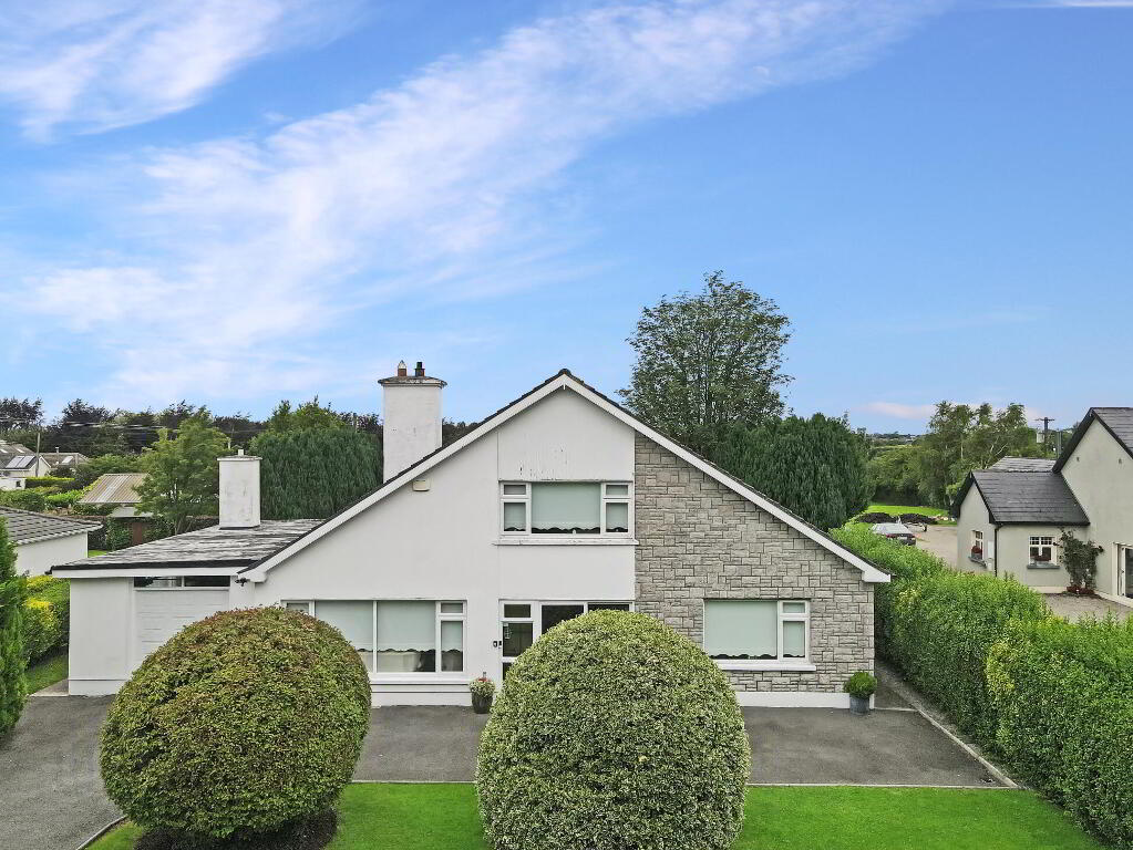 Benedine, Nenagh, E45KX88