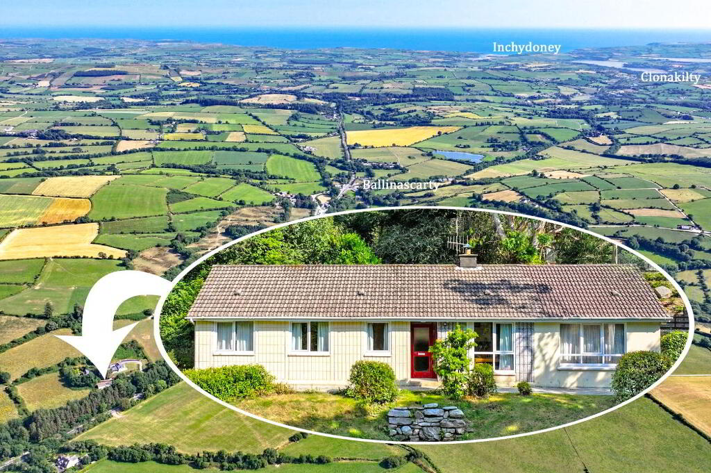 Ahalisky, Ballinascarthy, Ballinascarty, P85Y177