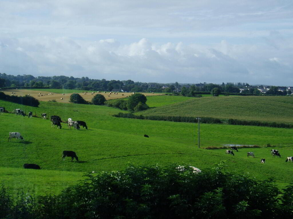 Photo 8 of 2 Hilden View, Lisburn