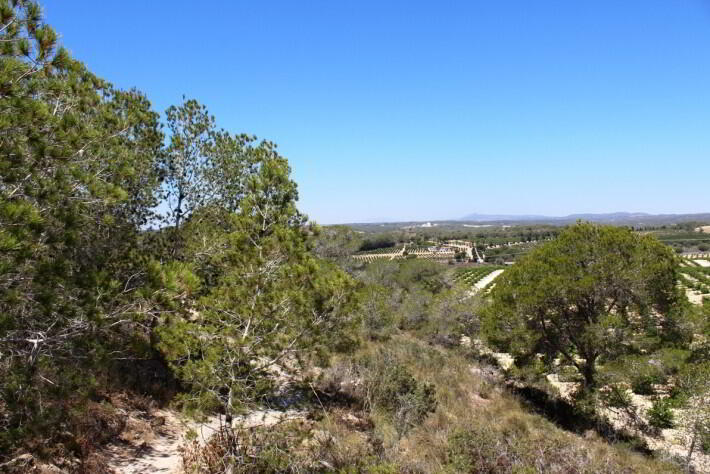 Photo 5 of Bargain Plot, Orihuela Costa, Costa Blanca