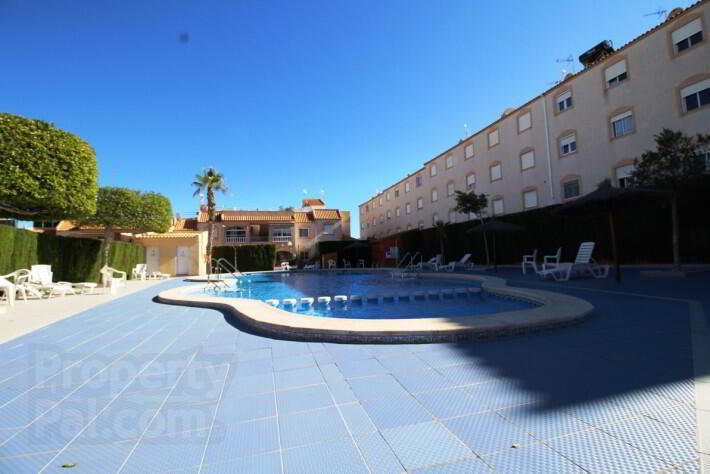 Photo 19 of Bargain, Ground Flo Bungalow Balcones, Los Balcones, Orihuela Costa