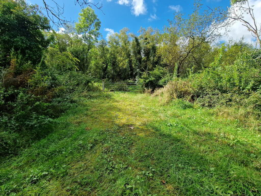 Circa 14.2 Acres, Ballagh Road Kiltermon, Fivemiletown