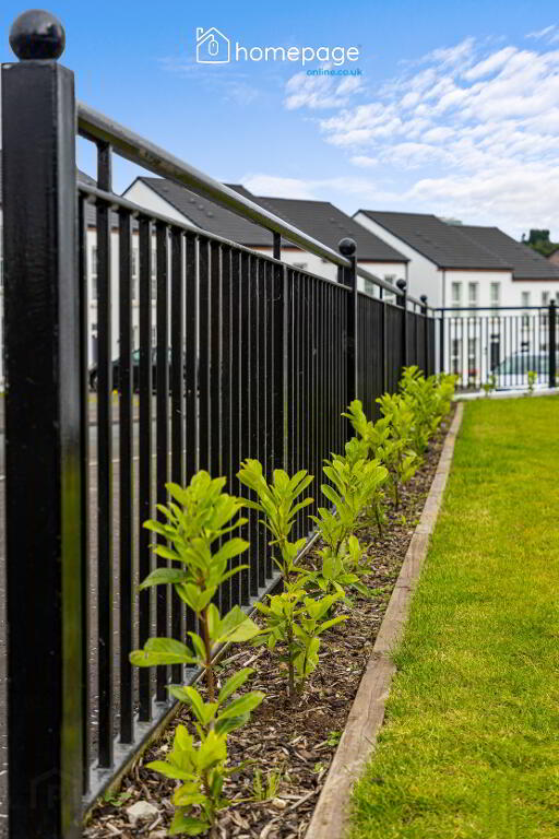 Photo 41 of The Foxglove (detached), The Hillocks, Altnagelvin, Derry / Londonderry