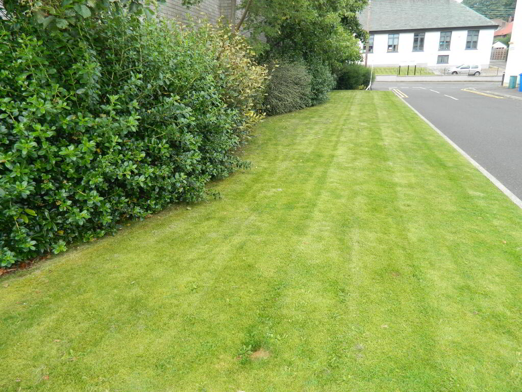 Photograph 9, 19 Gorran Mews