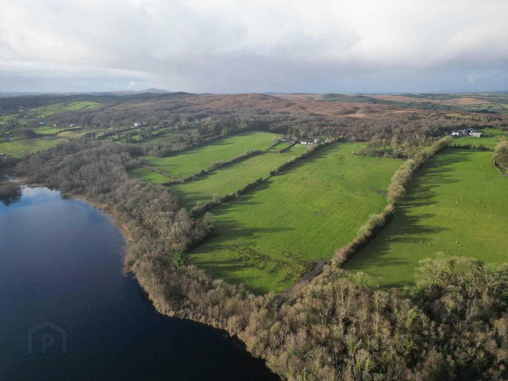 Lands, For Sale Of, Letter Road, Kesh