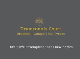 Drumconnis Court