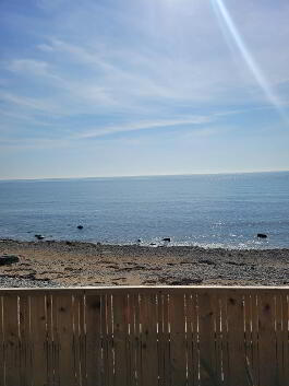 Photo 22 of Renshore Cottage & Cabana  Kilkeel Road, Ballymar...Annalong