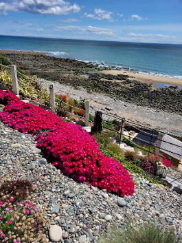 Photograph 1, Renshore Cottage & Cabana  ...