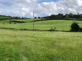 Photograph 1, Tullyhappy House 253 Old Ar...