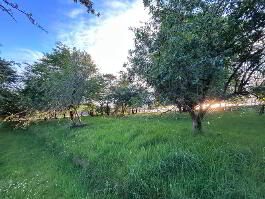 Photo 53 of 120 Donaghanie Road, Omagh
