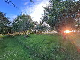 Photo 58 of 120 Donaghanie Road, Omagh