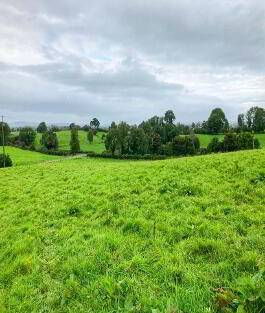 Photo 2 of 11 Tirenny Road, Brookeborough, Enniskillen