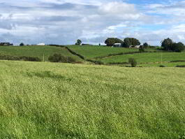 Photo 5 of  Mossbann Road, Newry