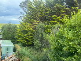 Photo 10 of  79 Ballylumford Road, Islandmagee