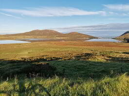 Photo 9 of Moyadd Road, Kilkeel