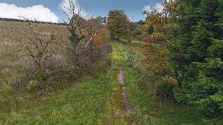 Photo 5 of 70 Doocrock Road, Dromore, Omagh