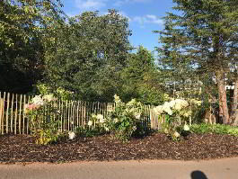 Photo 79 of "Two Trees"  44 Bankmore Road, Omagh