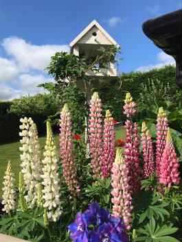 Photo 86 of "Two Trees"  44 Bankmore Road, Omagh