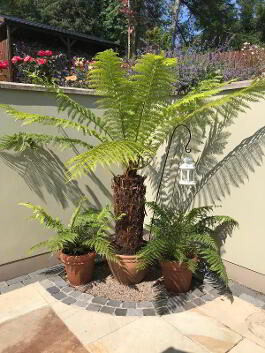 Photo 88 of "Two Trees"  44 Bankmore Road, Omagh