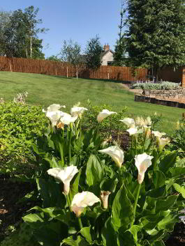 Photo 75 of "Two Trees"  44 Bankmore Road, Omagh