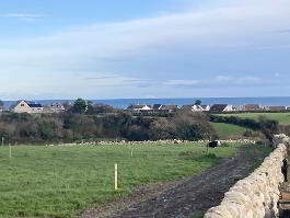 Photo 17 of 48 Majors Hill, Annalong