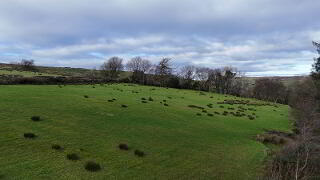 Photo 6 of 190 Dunnyboe Road, Belix, Aughabrack, Dunamanagh, Strabane