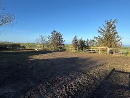 Photo 36 of Vine Cottage  329 Middle Road, Islandmagee