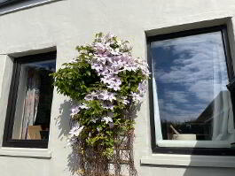 Photo 35 of Vine Cottage  329 Middle Road, Islandmagee