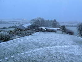 Photo 39 of Vine Cottage  329 Middle Road, Islandmagee