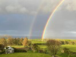 Photo 48 of Vine Cottage  329 Middle Road, Islandmagee