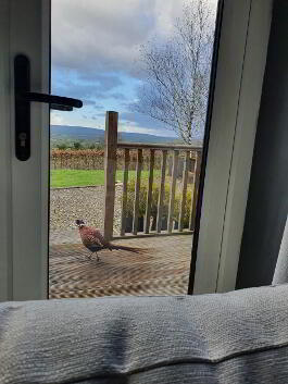 Photo 7 of "Harefield House"  44 Cashty Road , Omagh