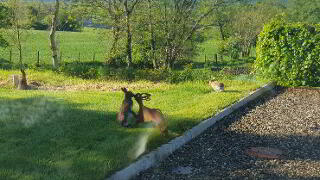 Photo 62 of "Harefield House"  44 Cashty Road , Omagh