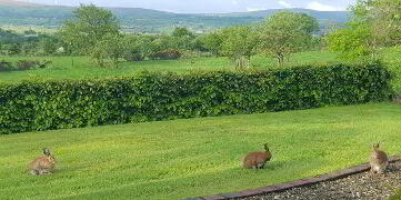 Photo 63 of "Harefield House"  44 Cashty Road , Omagh