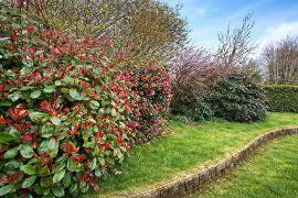 Photo 35 of 67 Dublin Road, Omagh