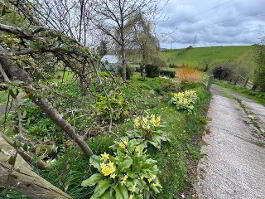 Photo 22 of  14 Hollow Road, Islandmagee