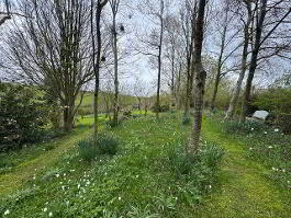 Photo 31 of  14 Hollow Road, Islandmagee