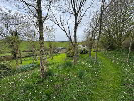 Photo 32 of  14 Hollow Road, Islandmagee
