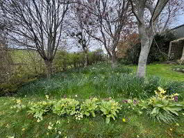 Photo 37 of  14 Hollow Road, Islandmagee