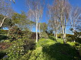 Photo 17 of  12 Hollow Road, Islandmagee