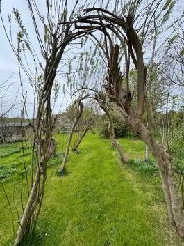 Photo 20 of  12 Hollow Road, Islandmagee