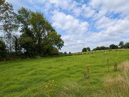 Photo 36 of 44 Dromore Road, Fintona, Omagh